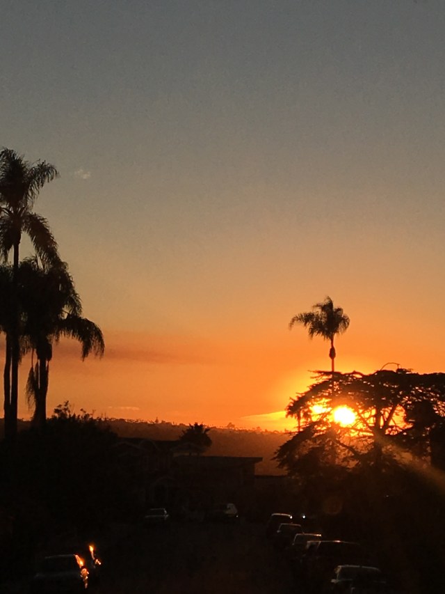 sunset from presidio